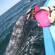 IMG 0001 2 (294)